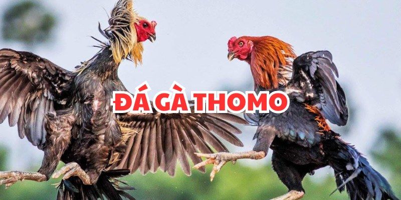 Cách thức tham gia